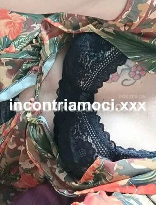 17 - Milla Trans Pavia - 3293413547