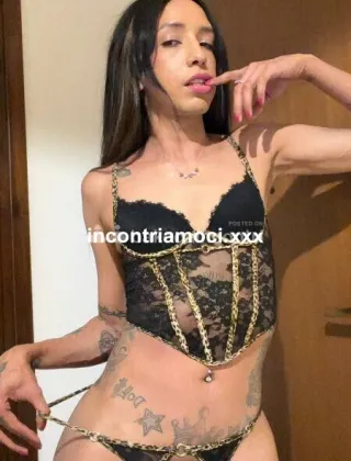 6 - New Trans Terni - 3934142935