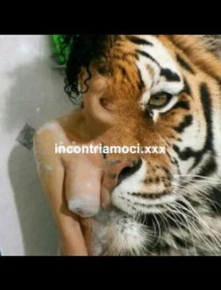 1 - Melinda Trans Caserta - 3461324229