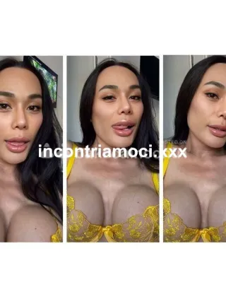 2 - Linda Trans Padova - 3202939122