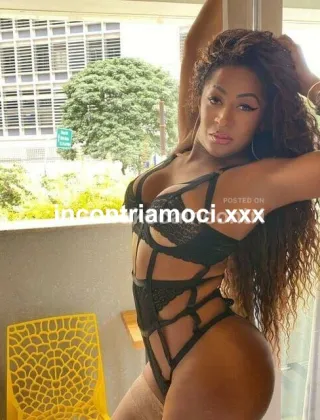 3 - Rose Dalson Xxl Trans Reggio Emilia - 3931163179