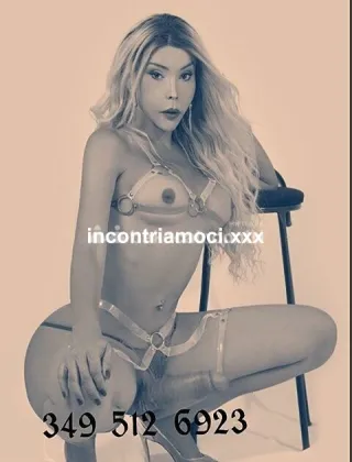 1 - Hillary Trans Roma - 3495126923