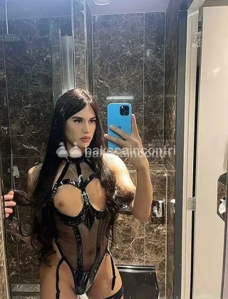 6 - Travi Trans Padova - 3313739129