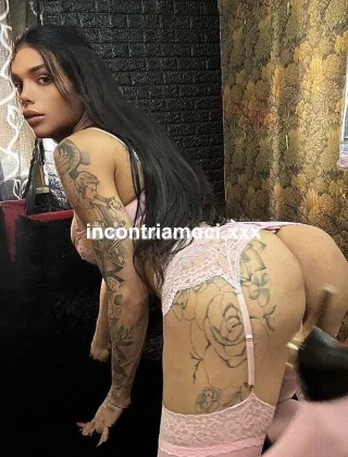 14 - Bruna Trans Roma - 3249021103