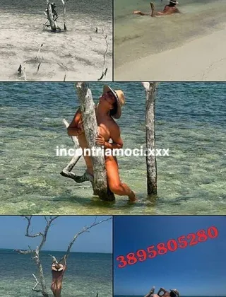 2 - Carolina Trans Roma - 3895805280