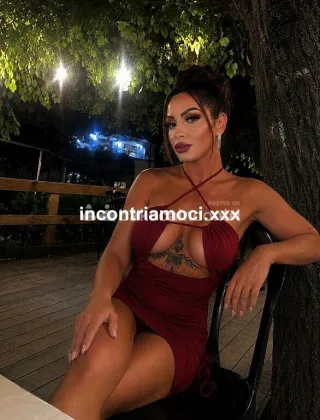 1 - Pamy Trans Grosseto - 3479599841
