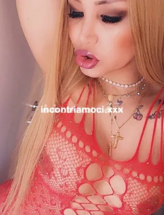 11 - Rebe Trans Milano - 3758115434