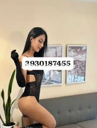 4 - Ambar Trans Pordenone - 3930187455