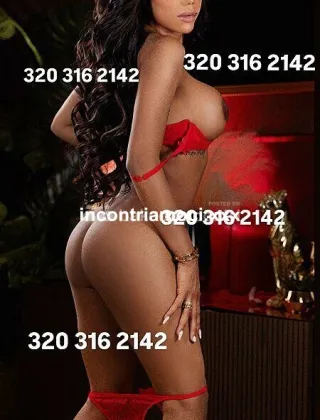 4 - Abbey Trans Bologna - 3203162142