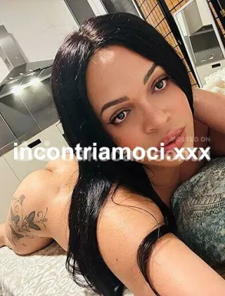 4 - Kelly Trans Bologna - 3512916990