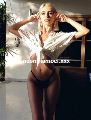 1 - Laira Trans Belluno - 3522287295