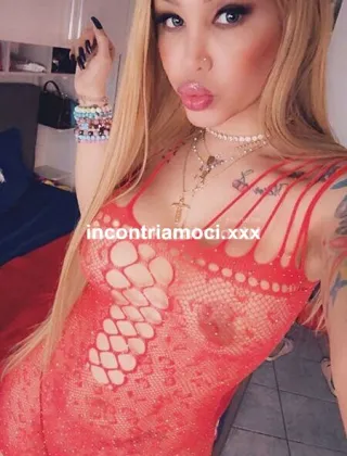 17 - Rebe Trans Milano - 3520272120
