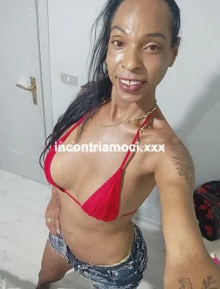 1 - Jennifer Trans Varese - 3335825058