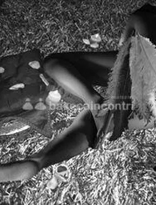 2 - Comfort Escort Lucca - 3485395107