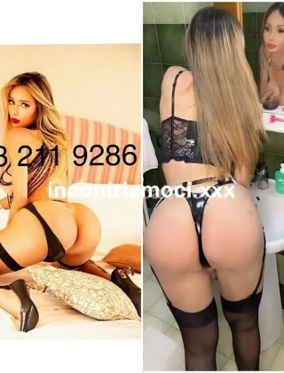 17 - Stefy Trans Biella - 3532119286