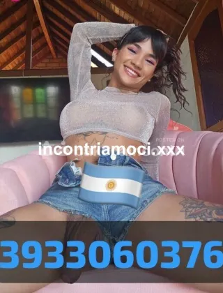 1 - New Trans Venezia - 3933060376