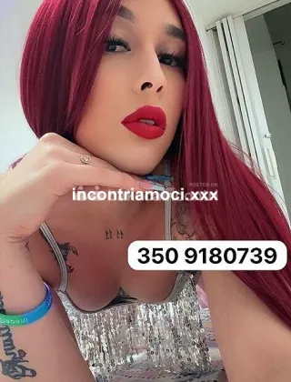 4 - Thalianna Trans Crotone - 3509180739