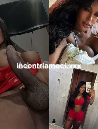1 - Lesly Trans Lecce - 3511928976