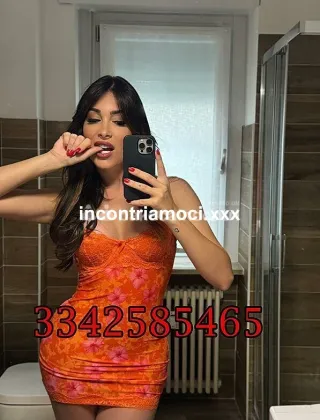 14 - Safina Trans Rimini - 3342585465