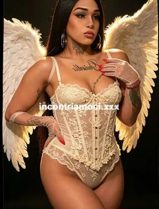 1 - Sara Trans Varese - 3920352065