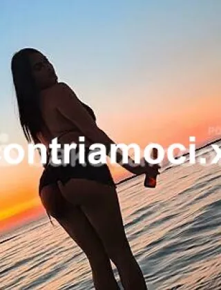 4 - Brenda Trans Pescara - 3446684281