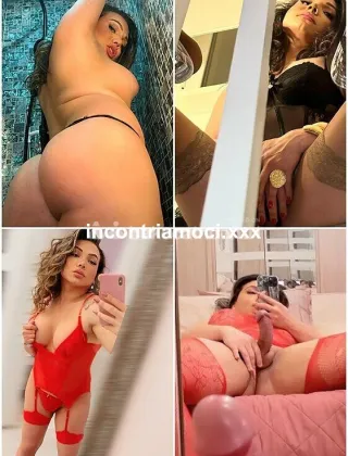 17 - Priscilla Trans Roma - 3275932908