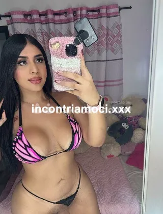 3 - Melania Trans Bologna - 3511425358
