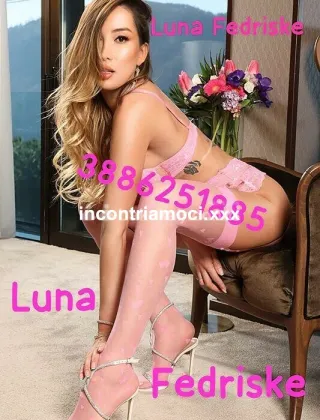 14 - Luna Trans Varese - 3886251885