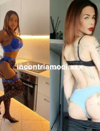 3 - Coppia Trans Torino - 3533266520