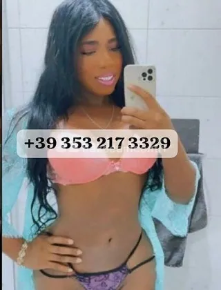 24 - Konny Trans Trans Modena - 3532173329