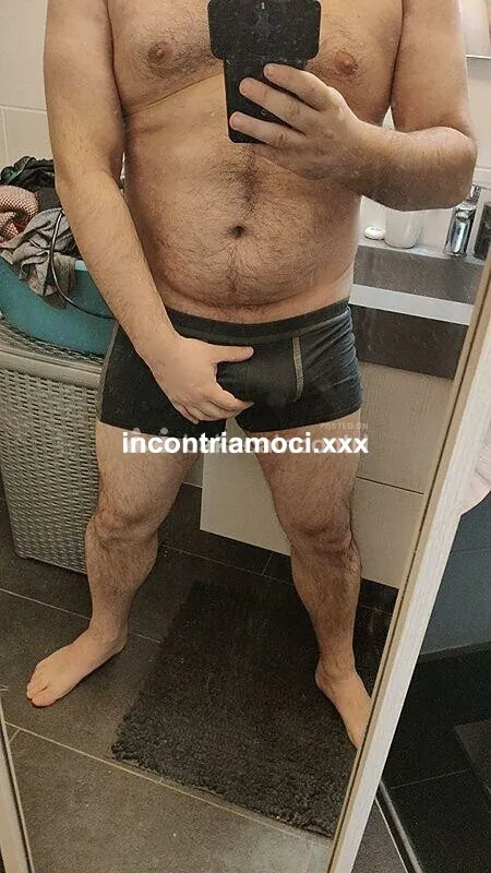 Bull