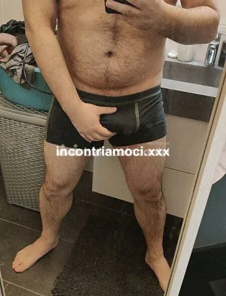 3533479087 - Bull 50 Coppie Latina