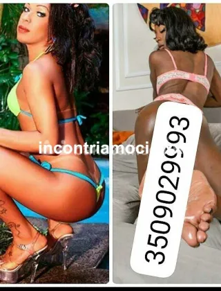 2 - Brenda Trans Milano - 3509029993