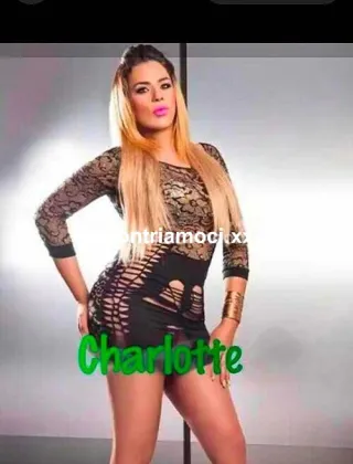 2 - Charlotte Trans Venezia - 3511486390