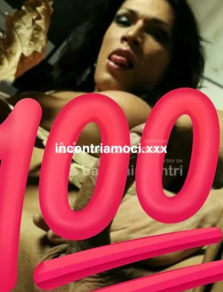 10 - Lionza Cavallona Trans Campobasso - 3348219962
