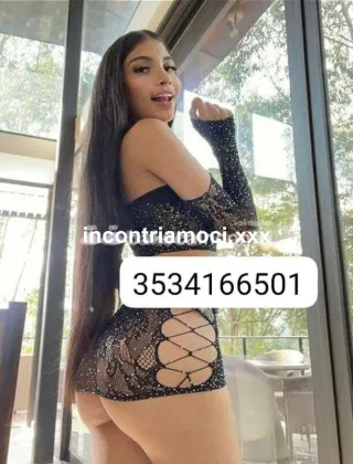 8 - Lays Trans Frosinone - 3534166501