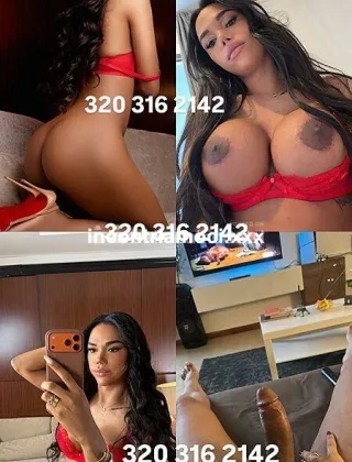 2 - Abbey Trans Bologna - 3203162142