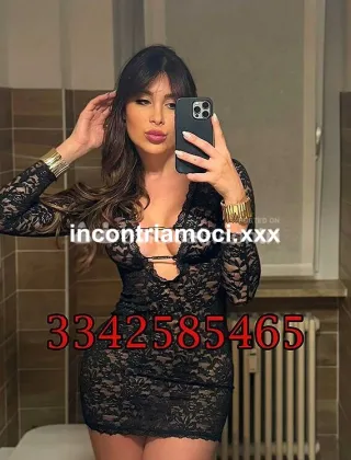 15 - Safina Trans Rimini - 3342585465