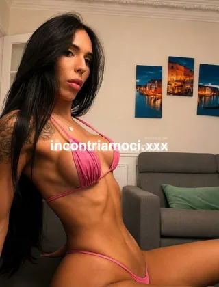 1 - Vittoria Trans Torino - 3391003682