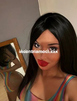 3 - Evelyn Trans Bologna - 3516154564