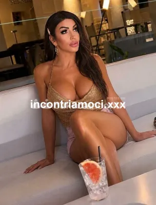 17 - Pamy Trans Terni - 3479599841