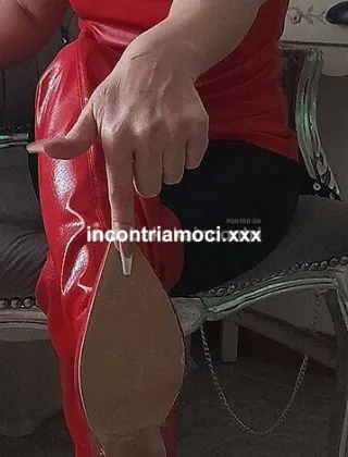 2 - Adina Trans Verona - 3427683543