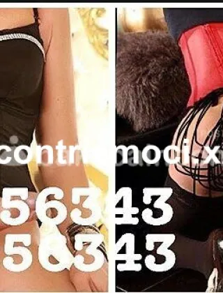 5 - Suellen Trans Alessandria - 3391956343