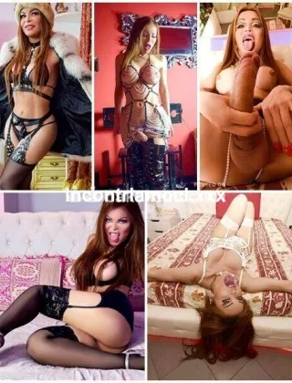 14 - Trans Milano - 3888571166