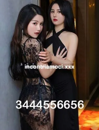 15 - Seka Escort Pisa - 3444556656