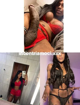4 - Lesly Trans Lecce - 3511928976