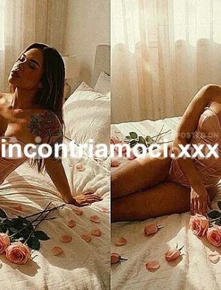3 - Belinda Trans Perugia - 3890909378