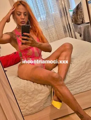 2 - Veroniks Trans Arezzo - 3520282463