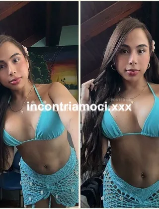 1 - Sara Trans Siracusa - 3289377943